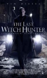 The Last Witch Hunter poster