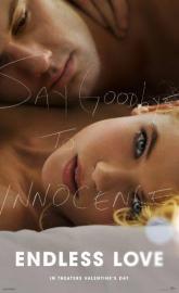 Endless Love poster