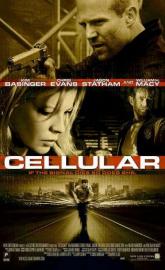 Cellular poster