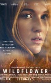 Wildflower poster