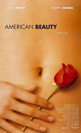 American Beauty poster