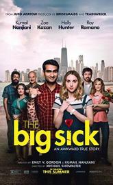 The Big Sick poster
