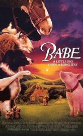 Babe poster