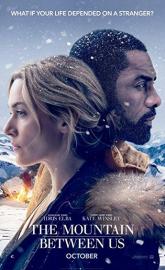The Mountain Between Us poster