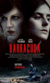 Barracuda poster