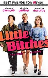 Little Bitches poster