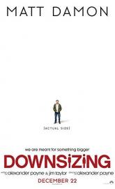 Downsizing poster