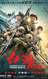 Operation Red Sea poster