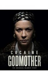 Cocaine Godmother poster