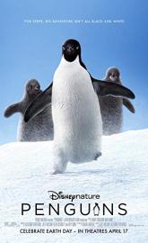 Penguins poster