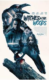 Witches in the Woods poster