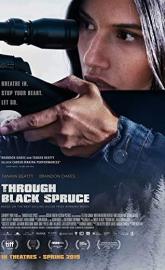Through Black Spruce poster