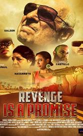 Revenge Is a Promise poster