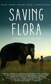 Saving Flora poster
