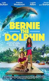 Bernie The Dolphin poster