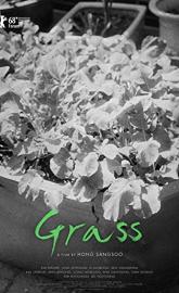 Grass poster