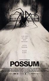 Possum poster