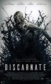 Discarnate poster