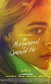 The Miseducation of Cameron Post poster