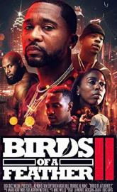 Birds of a Feather 2 poster
