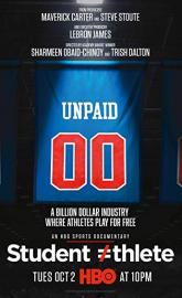 Student Athlete poster