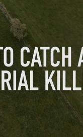 To Catch a Serial Killer with Trevor McDonald poster