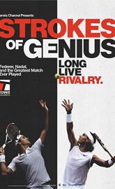 Strokes of Genius poster