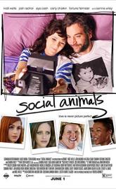 Social Animals poster