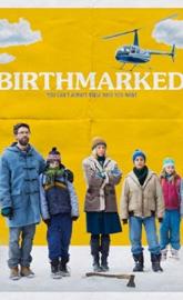 Birthmarked poster
