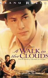 A Walk in the Clouds poster