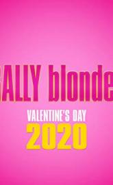 Legally Blonde 3 poster
