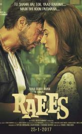 Raees poster