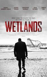 Wetlands poster