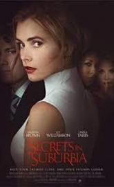 Secrets in Suburbia poster