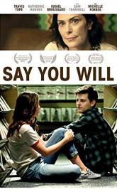 Say You Will poster