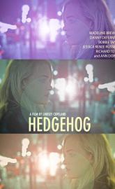 Hedgehog poster