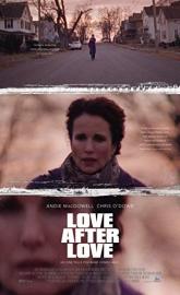 Love After Love poster