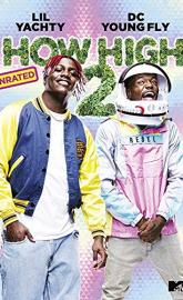 How High 2 poster