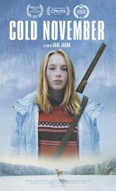 Cold November poster