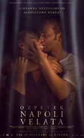 Naples in Veils poster