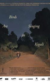Birds Are Singing in Kigali poster