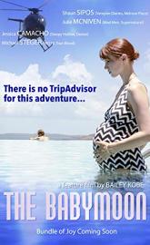 The Babymoon poster