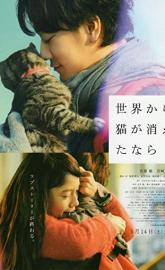 If Cats Disappeared from the World poster