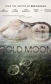 Cold Moon poster
