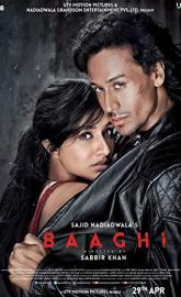 Baaghi poster