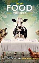Food Choices poster