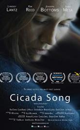 Cicada Song poster