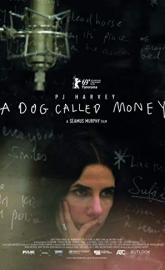 A Dog Called Money poster