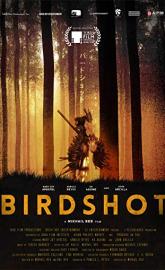 Birdshot poster