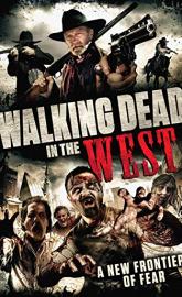 Cowboy Zombies poster
